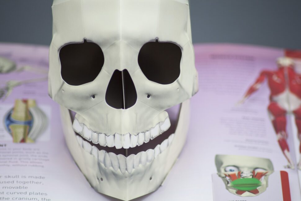 Pop-up paper skull